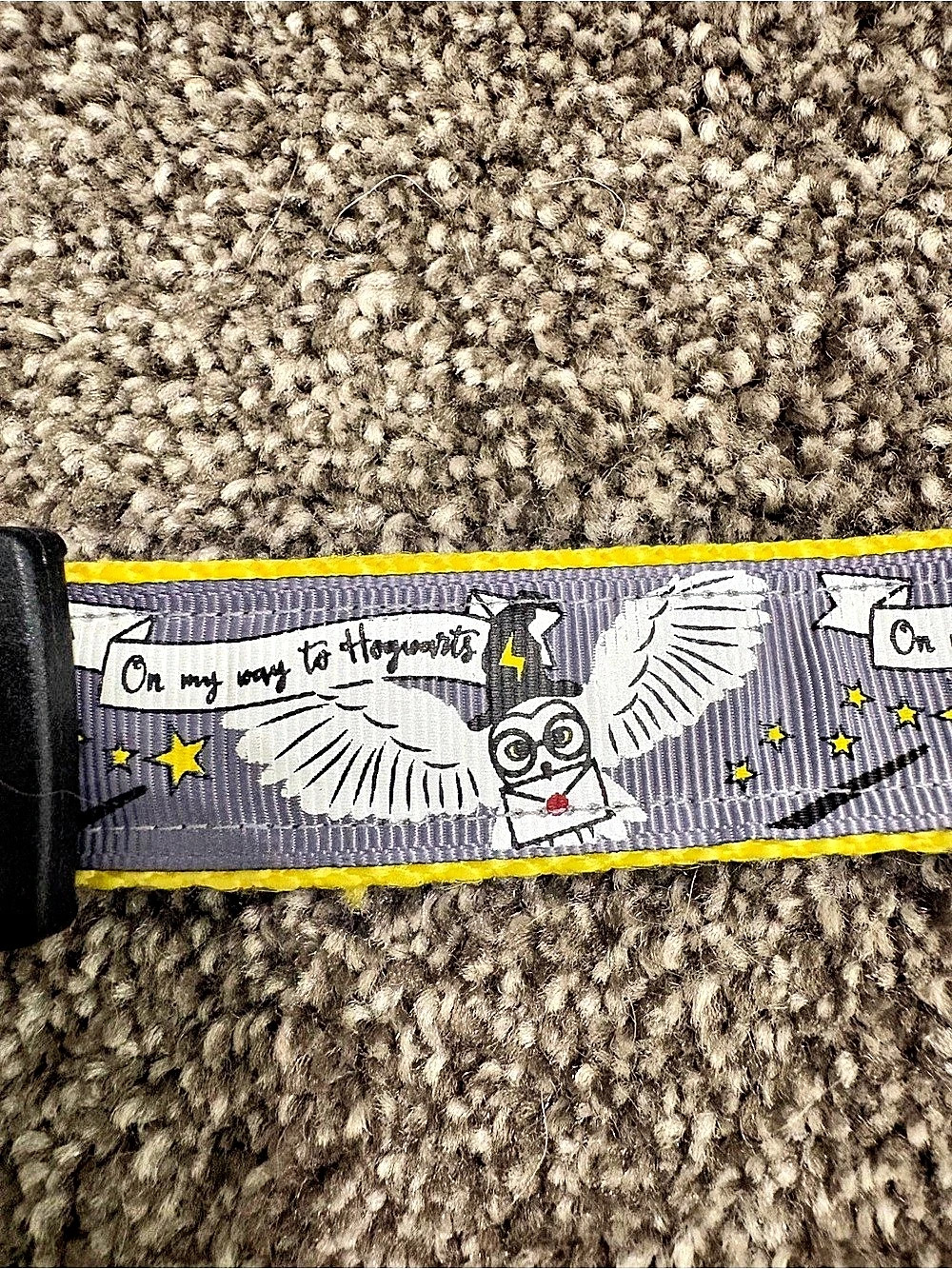 Buckle-Down Harry Potter Hedwig On My Way To Hogwarts Dog Collar Hogwarts Dog